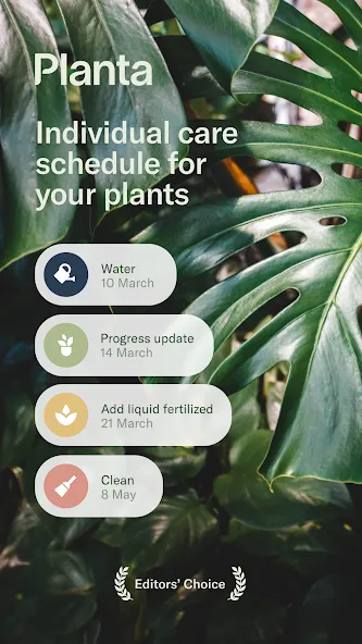Temmuz 2025: En İyi 15 Android Uygulaması! 4 Planta