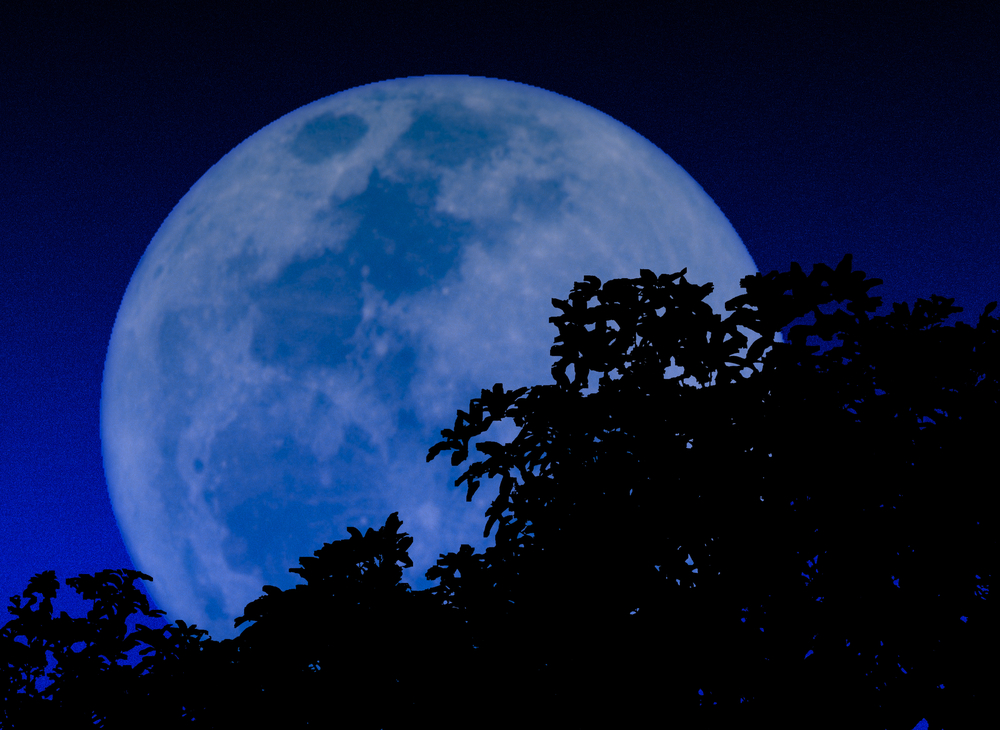 - Once in a blue moon 1